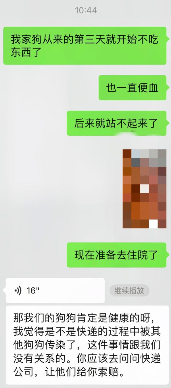 网上买球怎么买_网上买宠物网上买球怎么买，注意这些“坑”