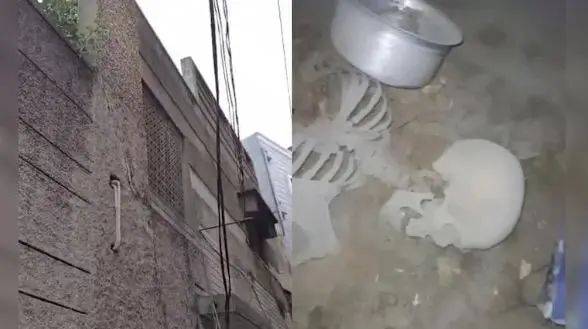 介绍个信用网网址_印度一男子寻板球介绍个信用网网址，意外发现隐藏十年之久的白骨，通话记录帮助锁定死亡时间