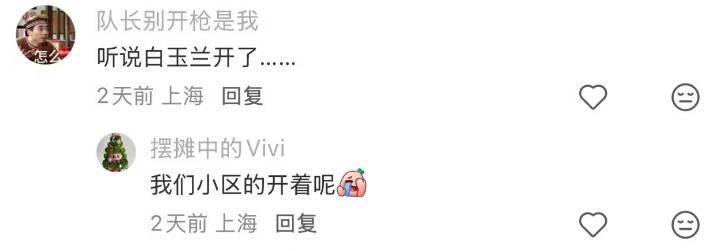 皇冠信用网登123出租_上海:节后气温将冲高至33℃!今夏已长达150天皇冠信用网登123出租,玉兰蔷薇樱花荷花全开了……