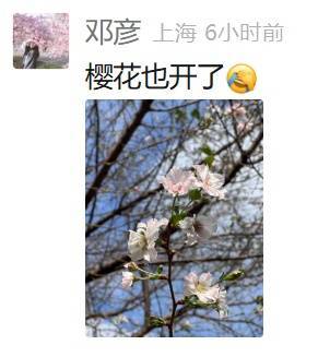 皇冠信用网登123出租_上海:节后气温将冲高至33℃!今夏已长达150天皇冠信用网登123出租,玉兰蔷薇樱花荷花全开了……