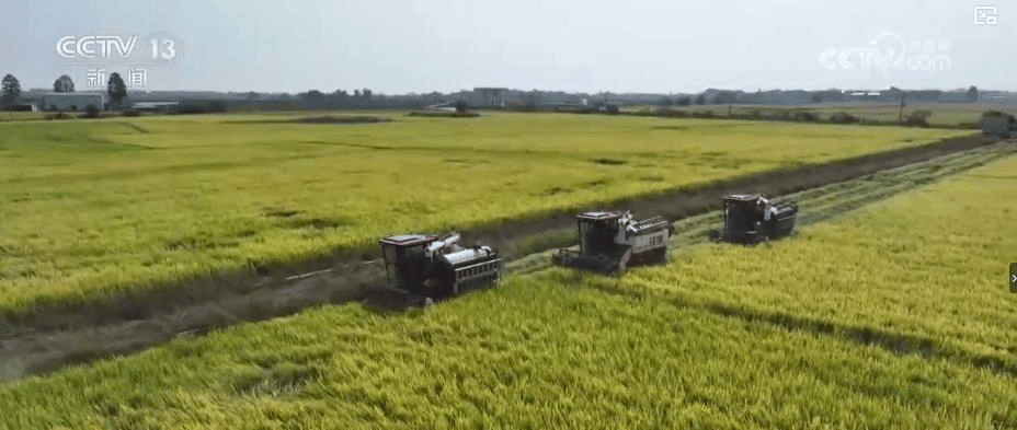 怎么申请皇冠信用盘
_“你们只需对俄开战怎么申请皇冠信用盘
,要坚持10天”,对话曝光!【看世界·新闻早知道】