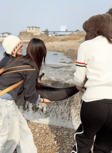 皇冠信用盘网址_女大学生在大连海边拍摄素材皇冠信用盘网址，却意外发现已死亡的它