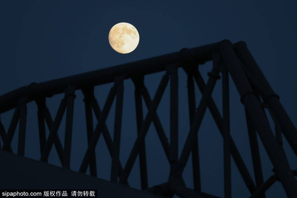 韩火鹰vs叁星狮_利物浦9500万挖角国米中卫 巴斯托尼将刷新后卫转会纪录韩火鹰vs叁星狮？