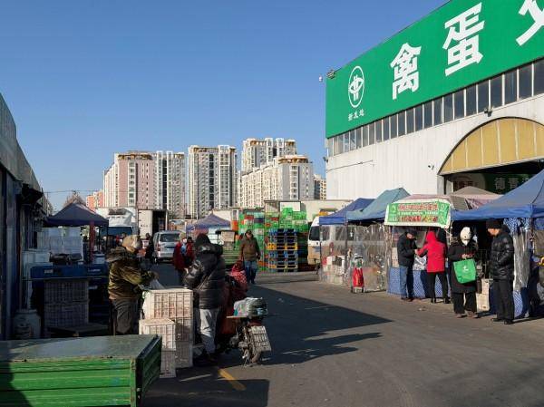 皇冠信用出租代理_寒潮下实地探访北京新发地：西红柿变身“蔬菜刺客”皇冠信用出租代理，批发商直呼“还得涨”