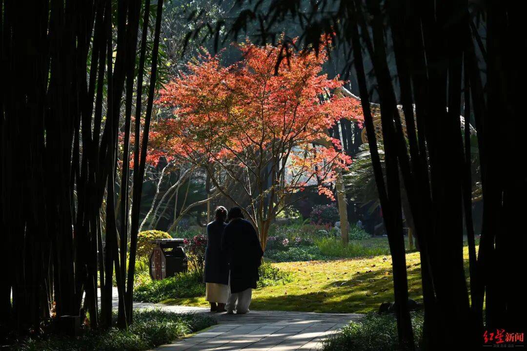 nba赛程表_我国已进入拉尼娜状态nba赛程表！四川今冬或“前暖后冷”