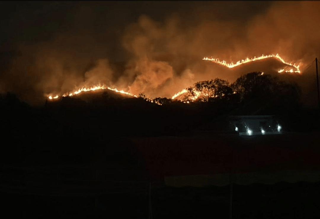 怎么弄皇冠信用_香港粉岭坪峰附近山火已经扑灭怎么弄皇冠信用,此前火势连绵上百米,深圳多处可见