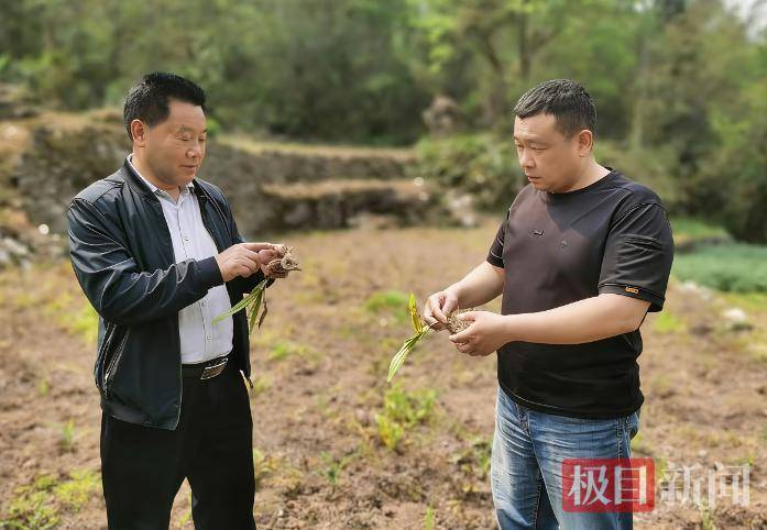 皇冠信用网登1,登2,登3出租_放弃几十万年收入返乡皇冠信用网登1,登2,登3出租，“倒贴钱”买车作公用，53岁“吉普书记”突然离世，200余民众自发送别