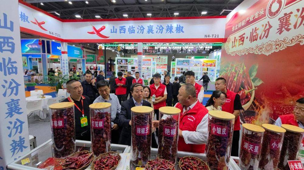 荷尔斯泰因 v 霍芬海姆_山西临汾：襄汾辣椒亮相第11届中国（重庆）火锅产业博览会